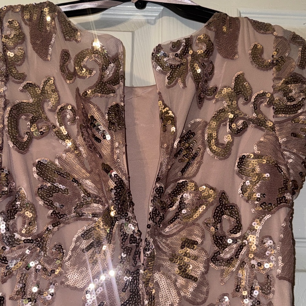 Betsy & Adam Blush Sequin Floral Bodice Maxi Dress - Picture 13 of 15